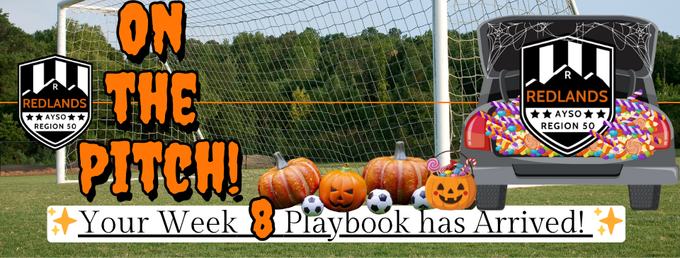 On The Pitch Newsletter