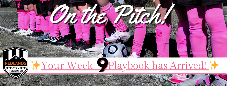 On The Pitch Newsletter