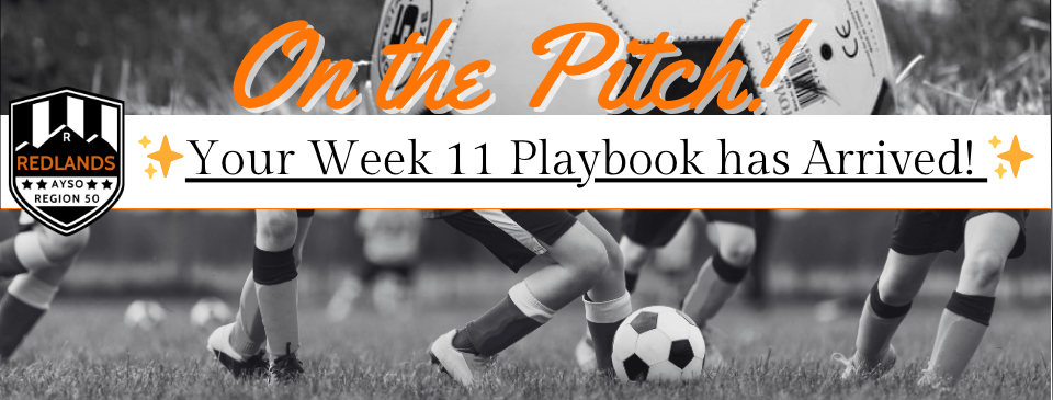 On The Pitch Newsletter